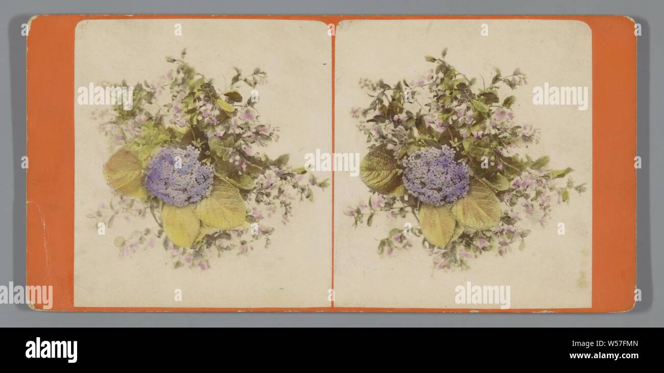 Flower still life, cut flowers, nosegay, bunch of flowers, anonymous, c. 1855 - c. 1870, photographic paper, cardboard, albumen print, h 85 mm × w 176 mm Stock Photo