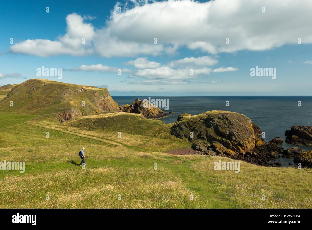 Person walking along a path at St Abbs Head Nature Reserve in summer on a hot day, Scotland Stock Photo