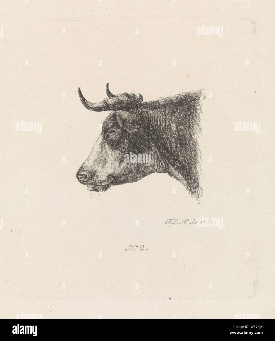 Head of a cow Cow portraits (series title), Head of a cow to the left. Bottom center: N. 2, cow, Frederik Lodewijk Huygens (mentioned on object), Netherlands, 1817 - 1887, paper, engraving, h 118 mm × w 100 mm Stock Photo