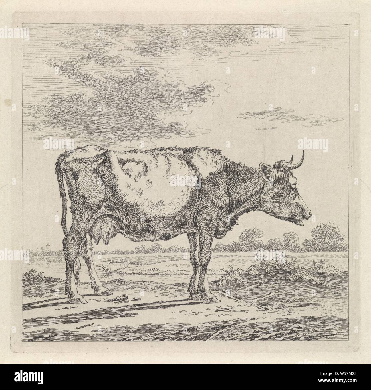 Rt様 SPLG39J 581X 60 ポリス POLICE サングラス 復刻別注モデル WIND