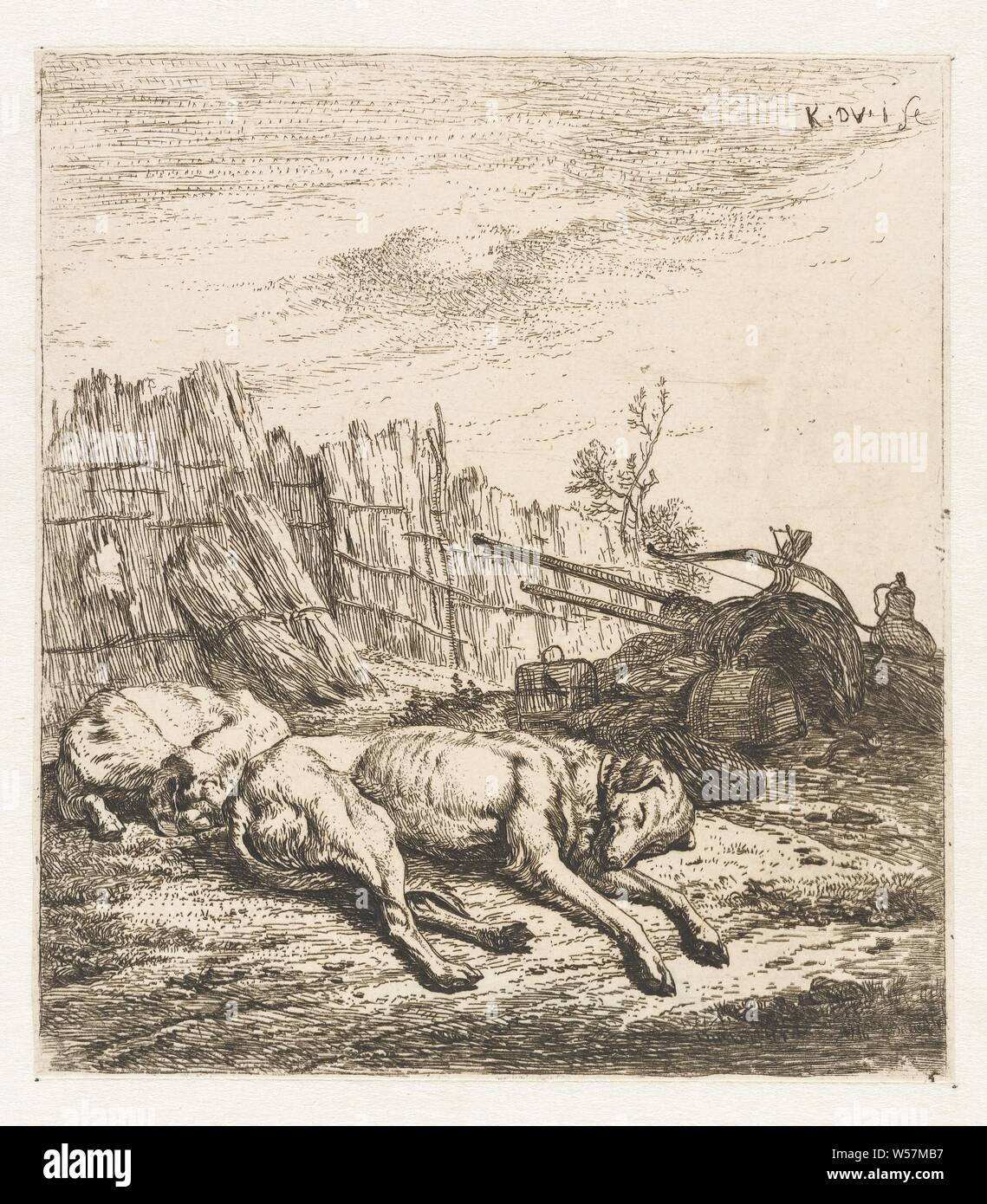 Sleeping hunting dogs Animals (series title), hunting dogs, Karel du Jardin (mentioned on object), Amsterdam, 1652, paper, etching, h 149 mm × w 133 mm Stock Photo