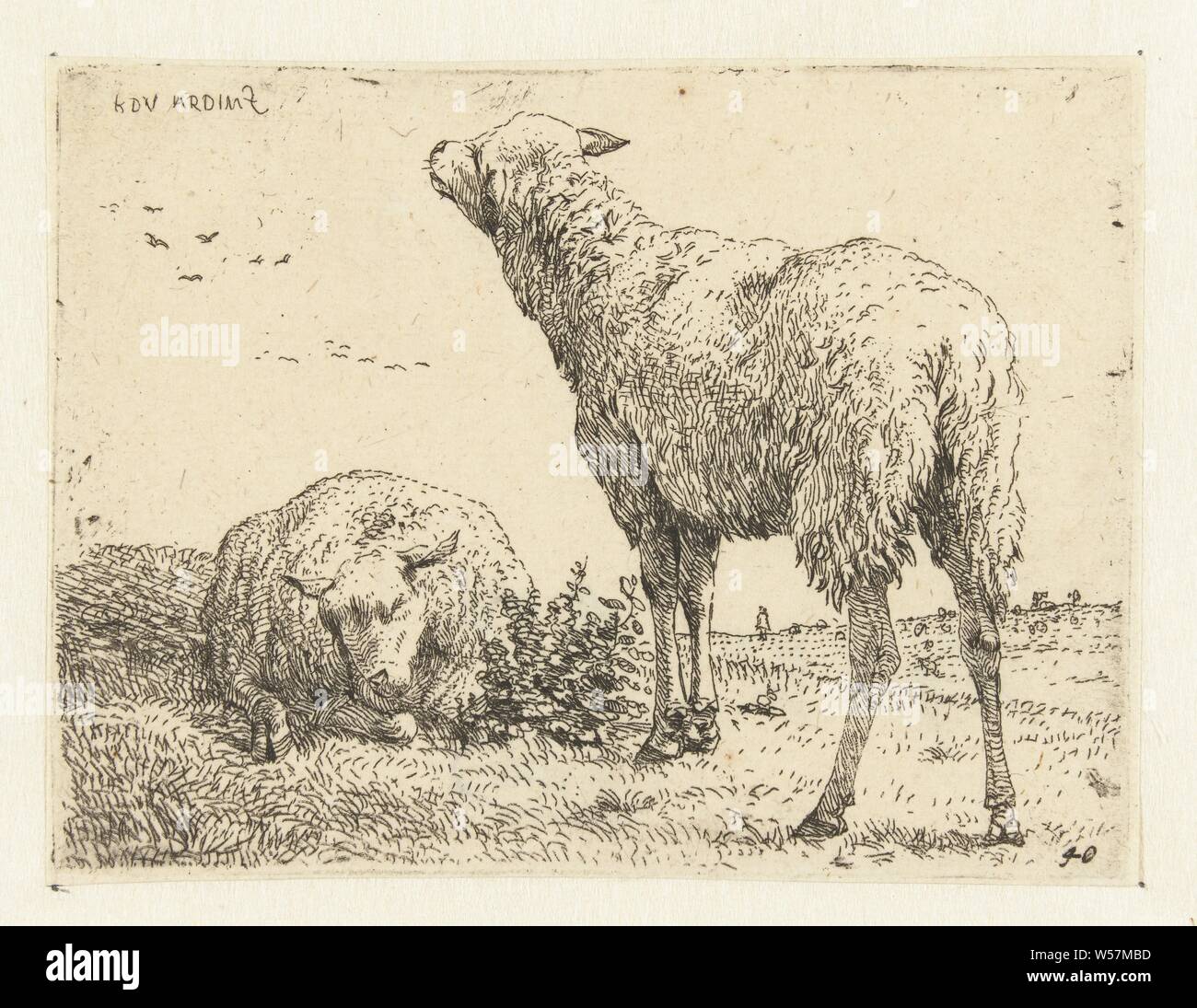 絵画 Sheep Sheep High-Res Vector Graphic - Getty Images