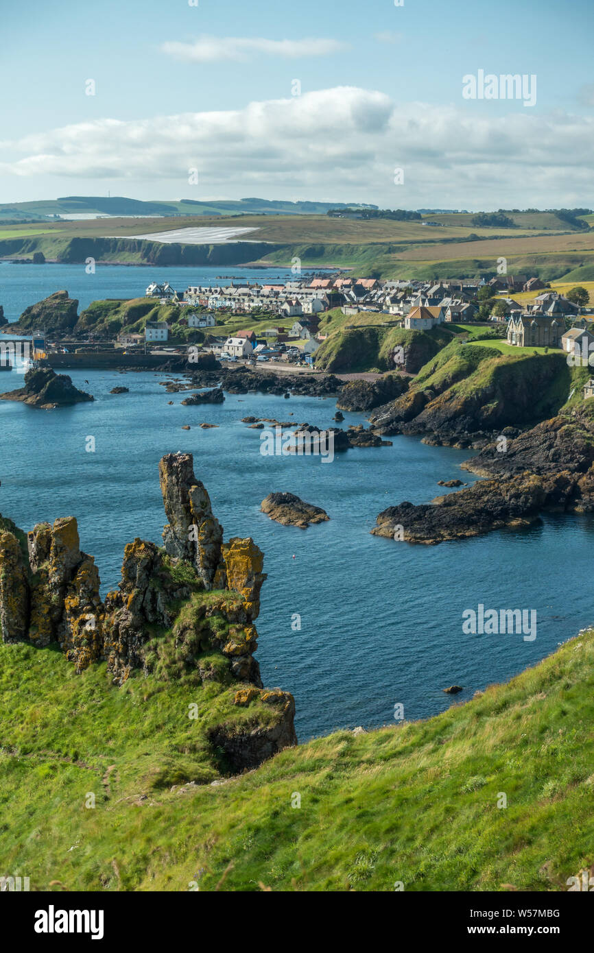 UK Landscapes: Stunning cliffs in vibrant summer colours overlooking St Abbs coastline and Britain’s first voluntary marine reserve Stock Photo