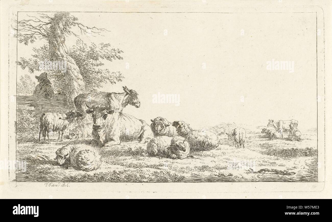 Shepherd looking at herd of animals The shepherd behind the fence, From behind a fence a man looks at the donkey, cows and sheep in the meadow. In the background a woman is milking a cow, cattle, Frédéric Théodore Faber (mentioned on object), Brussels, 1806, paper, etching, h 123 mm × w 210 mm Stock Photo