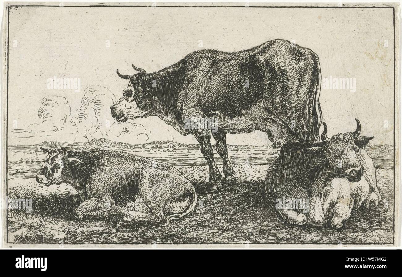 Three cows Animals (series title) Zoographiam (series title), cow, Jan van den Hecke (I), Brussels (possibly), 1656, paper, etching, h 103 mm × w 165 mm Stock Photo