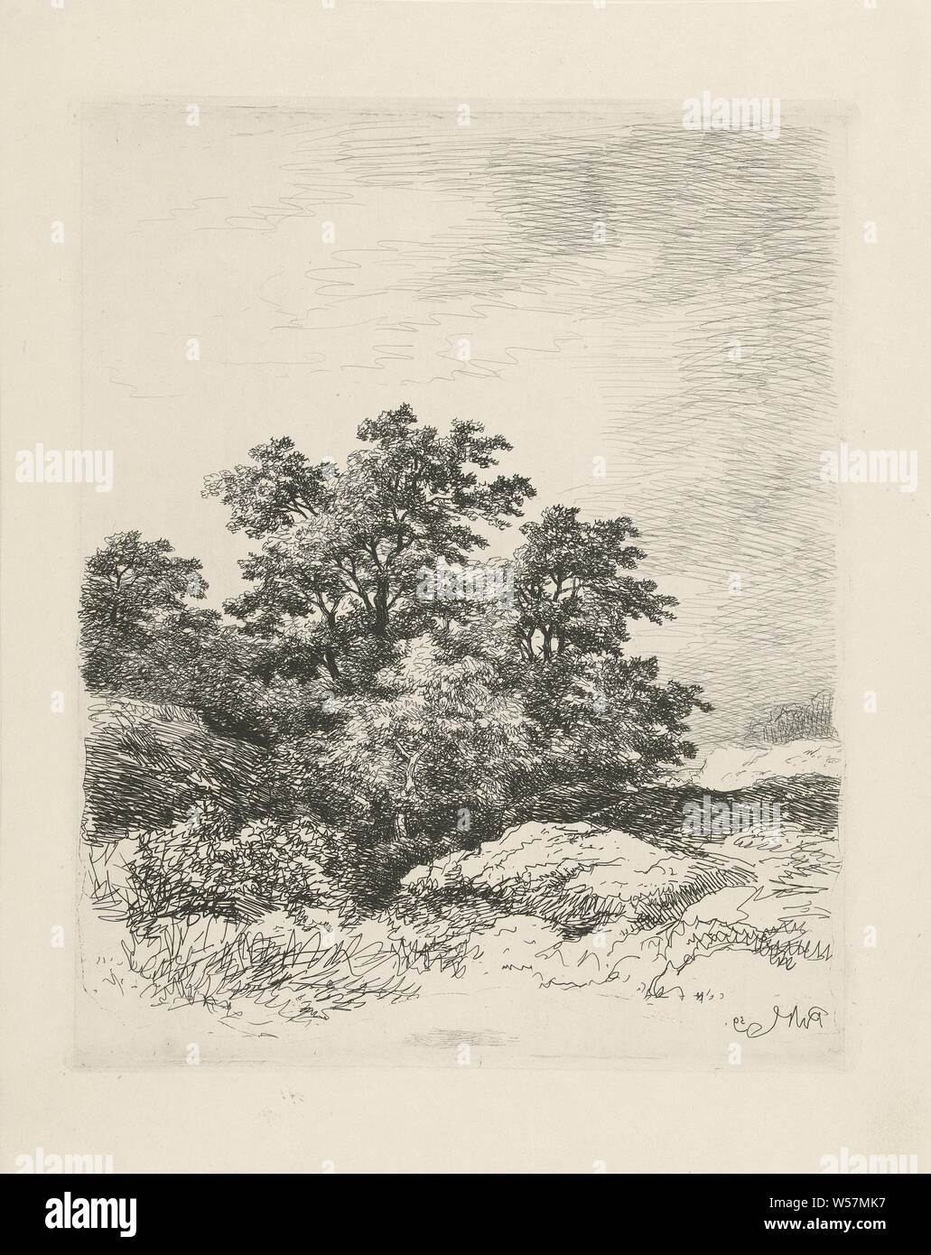 Landscape with trees, trees, Remigius Adrianus Haanen (mentioned on object), Austria, 1859, paper, etching, h 250 mm × w 200 mm Stock Photo