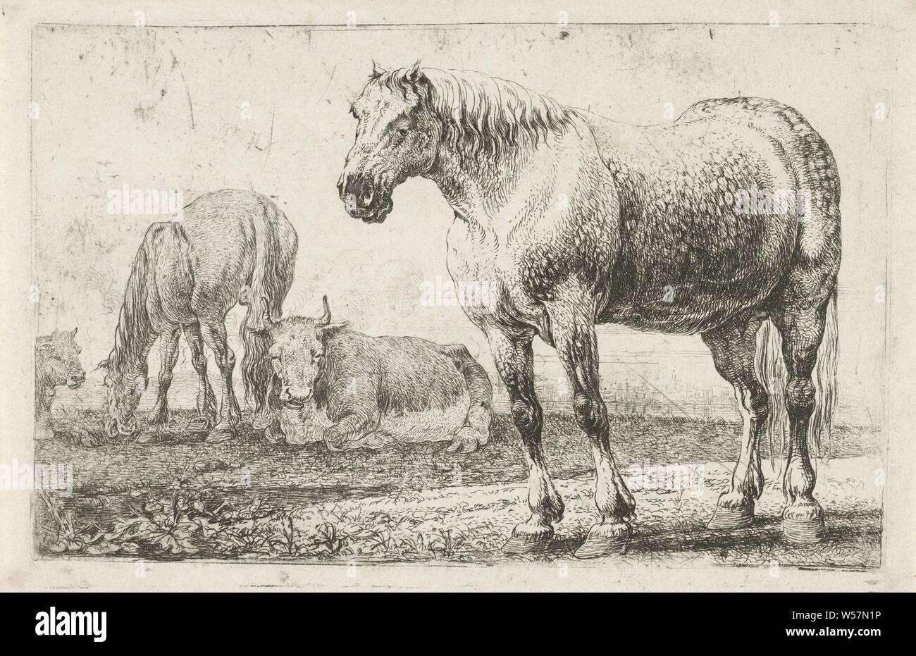 Horses and cows Animals (series title) Zoographiam (series title), horse, cow, Jan van den Hecke (I), Brussels (possibly), 1656, paper, etching, h 103 mm × w 160 mm Stock Photo