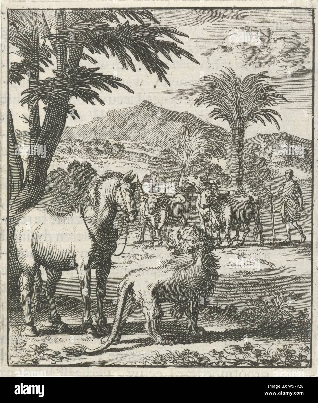Young lion in conversation with a horse, beasts of prey, predatory animals: lion, horse, Jan Luyken, Amsterdam, 1693, paper, letterpress printing, h 91 mm × w 77 mm Stock Photo