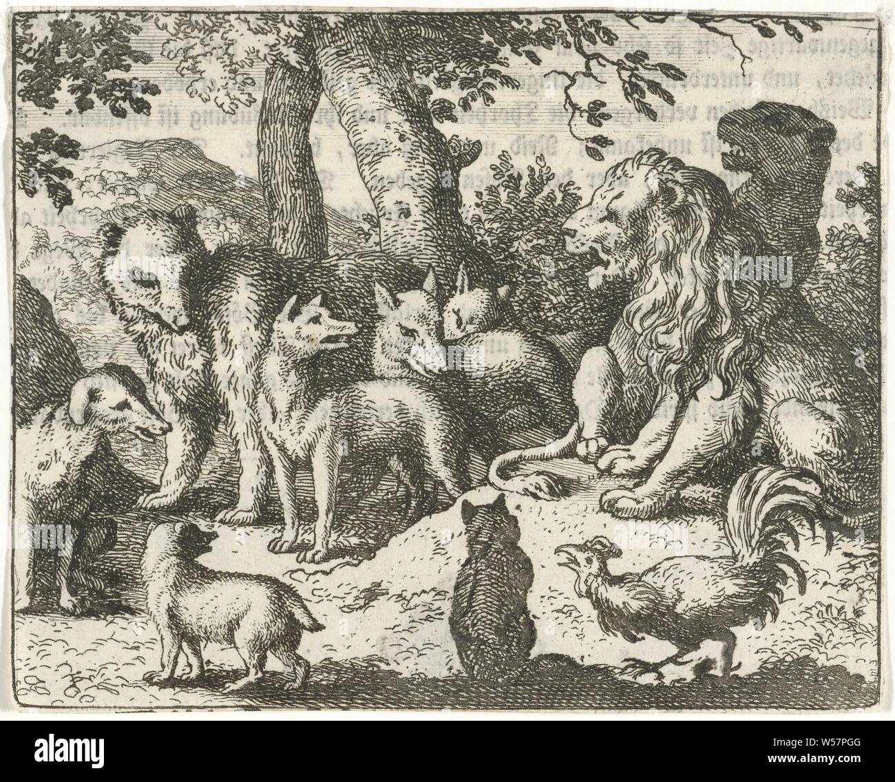 Fable Animals Stock Photos Fable Animals Stock Images Alamy