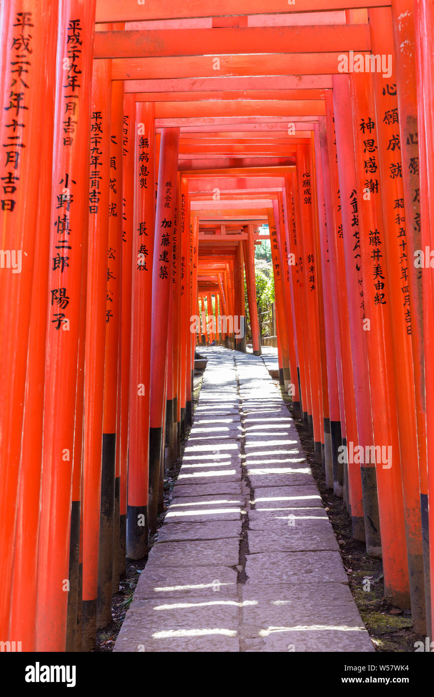 Torii gates at Nezu Shrine in Bunkyo ward, Tokyo, Japan. Stock Photo