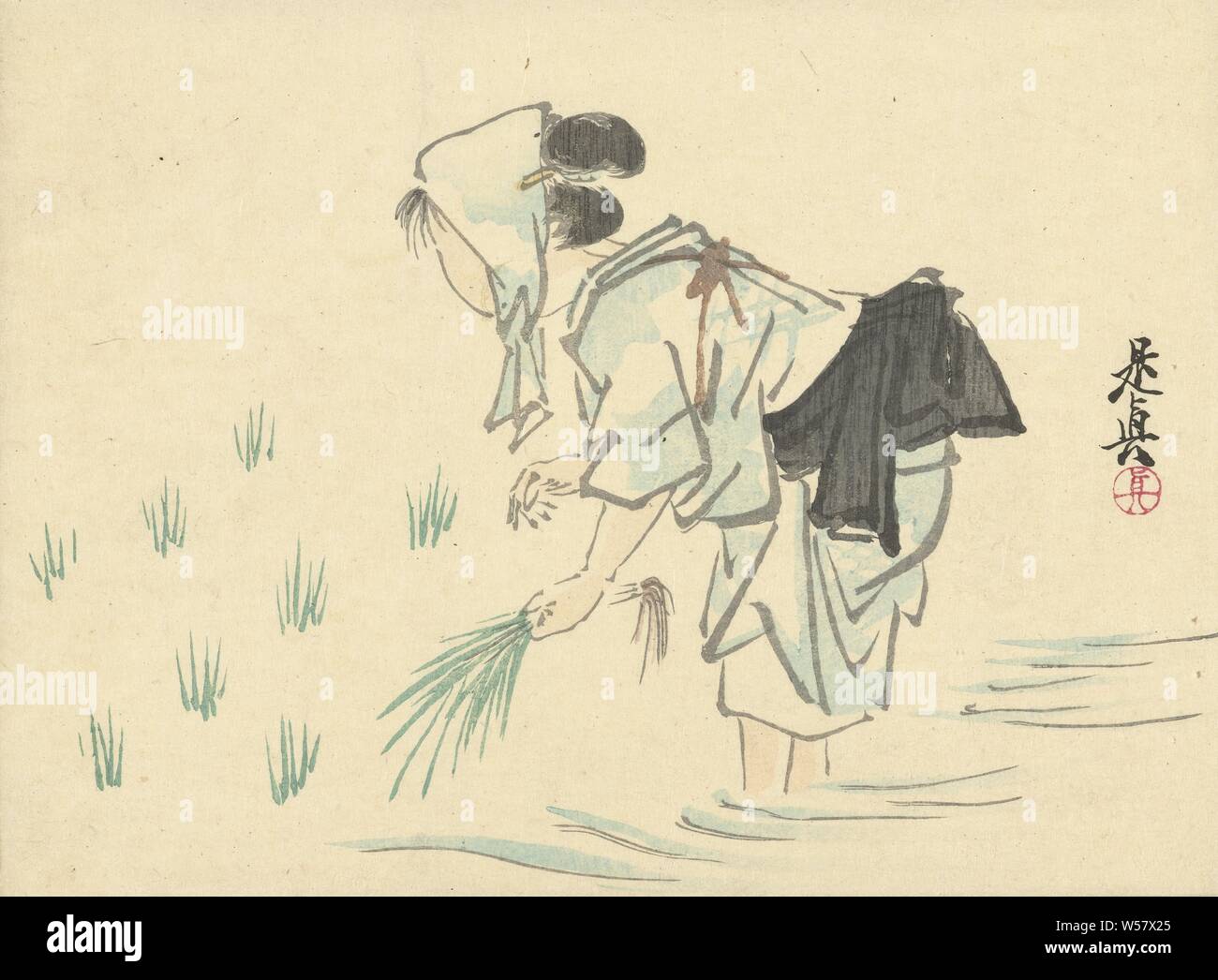 Woman planting rice, transplanting, setting out plants, plants and herbs (with NAME), Shibata Zeshin (mentioned on object), Japan, 1878 - 1882, paper, colour woodcut, h 181 mm × w 245 mm Stock Photo