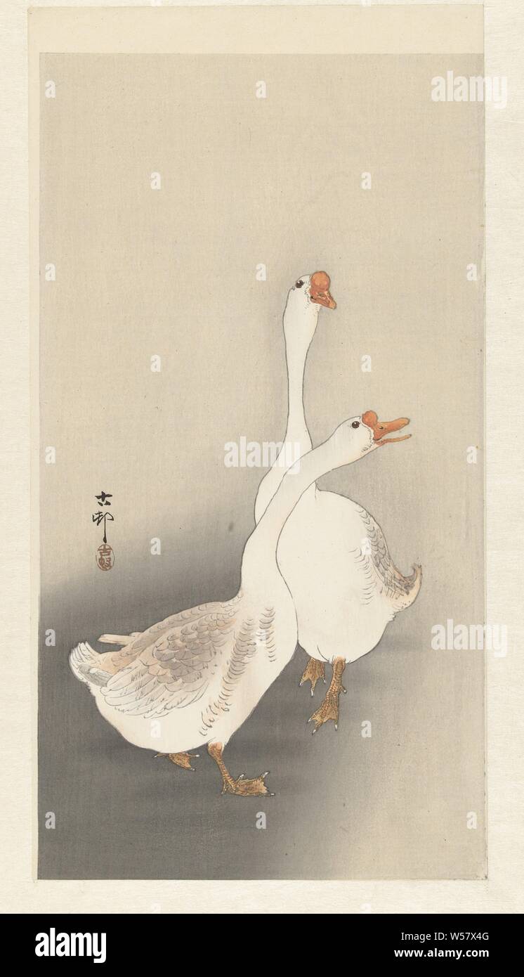 Two geese, Ohara Koson (mentioned on object), 1900 - 1930, paper, colour woodcut, h 345 mm × w 183 mm Stock Photo