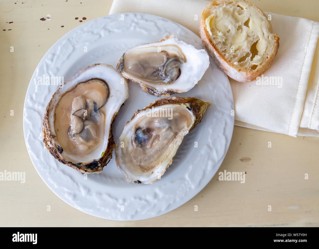 Opened raw oysters on a plate. Stock Photo