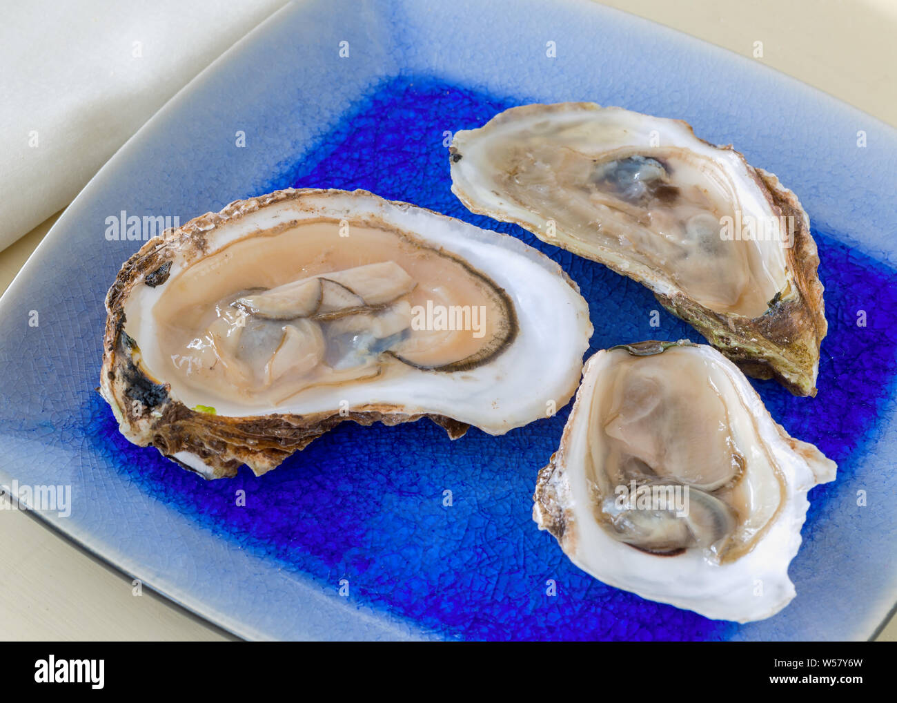 Opened raw oysters on a plate. Stock Photo