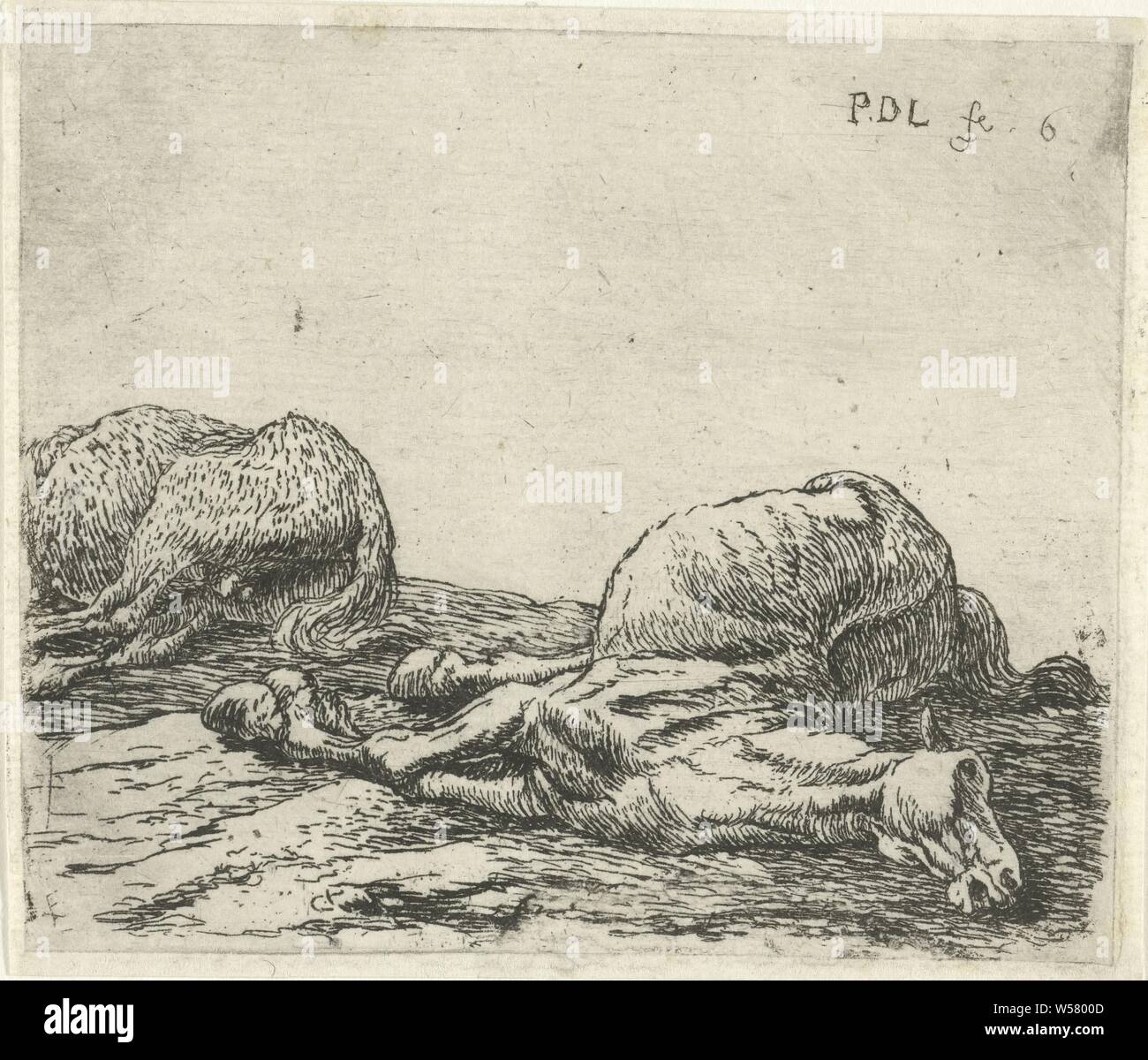 Dead horses hires stock photography and images Alamy