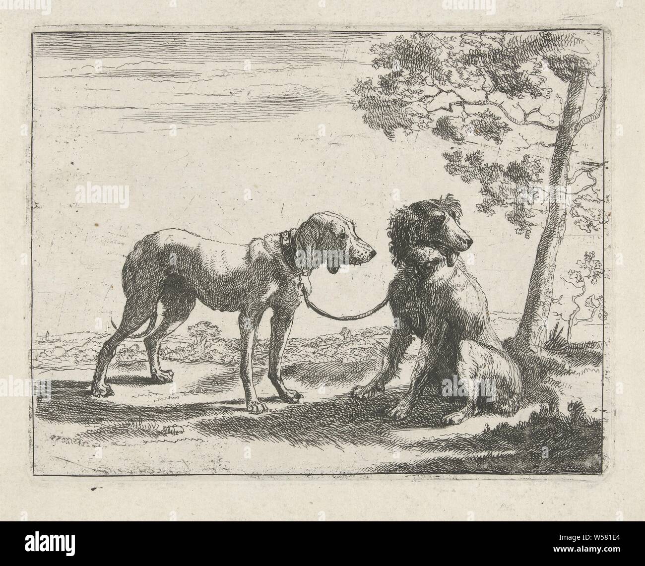 Two dogs Dogs (series title), Two dogs tied together in a landscape. Second  print of a series of eight prints with representations of dogs., Dog,  Pauwels van Hillegaert, Amsterdam, 1654, paper, etching,