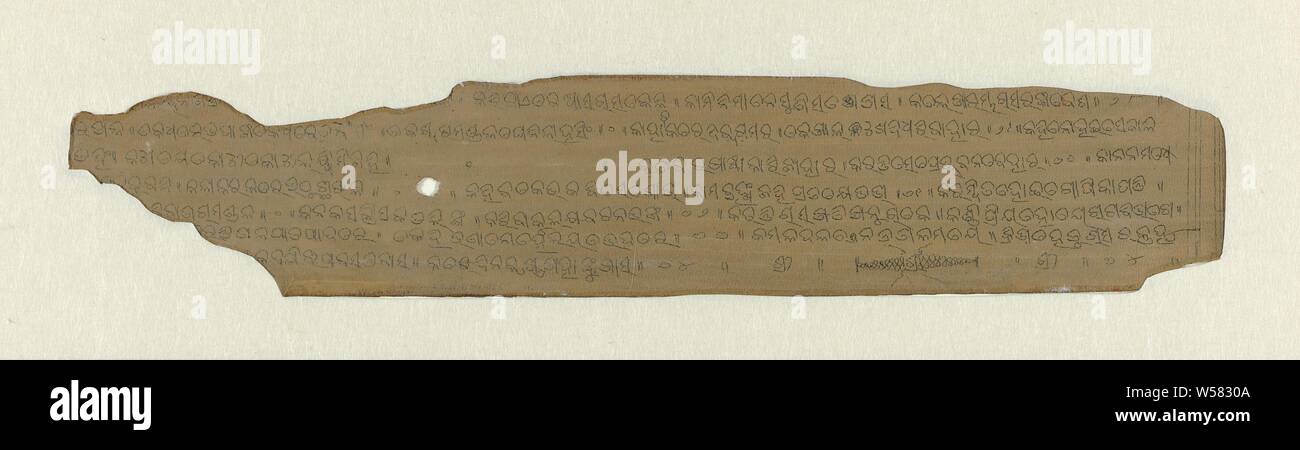 Inscription in ancient Indian script, Orissa, 1800 - 1900, cardboard, brush, h 41 mm w 201 mm w 210 mm Stock Photo