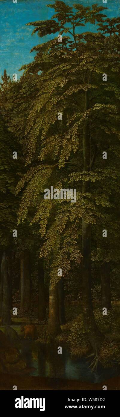 Forest View Panel Outer right panel hi-res stock photography and images - Alamy