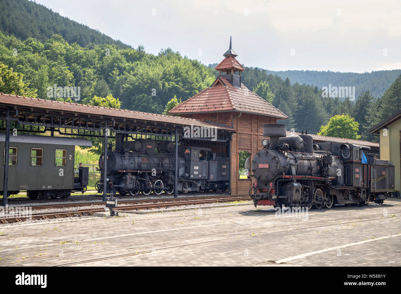 Serbia - Narrow gauge steam trains, still in use for touristic tours, at Village Sargan (Šargan) station Stock Photo