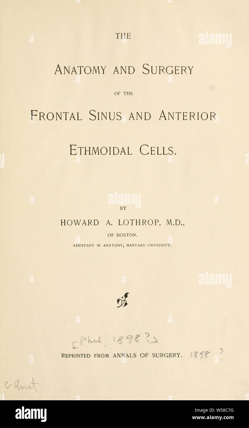 The anatomy and surgery of the frontal sinus and anterior ethmoidal cells : Lothrop, Howard Augustus, 1864 Stock Photo