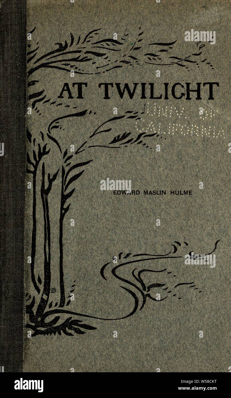 Les livres de la saga Twilight Photo Stock - Alamy
