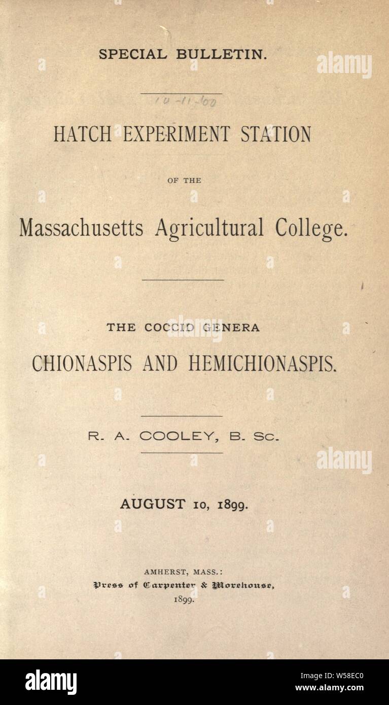 The coccid genera Chionaspis and Hemichionaspis : Cooley, R. A. (Robert Allen), 1873-1968 Stock Photo