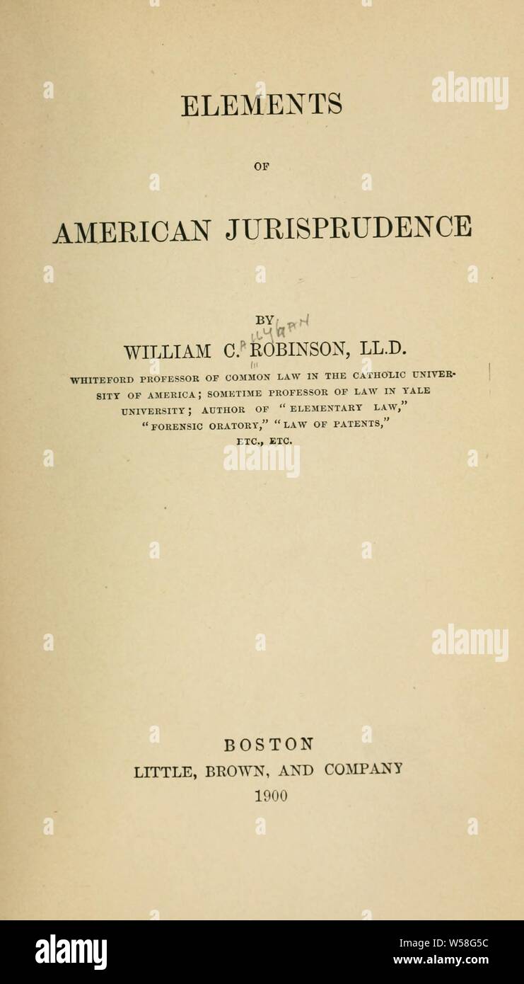 Elements of American jurisprudence : Robinson, William C. (William Callyhan), 1834-1911 Stock Photo