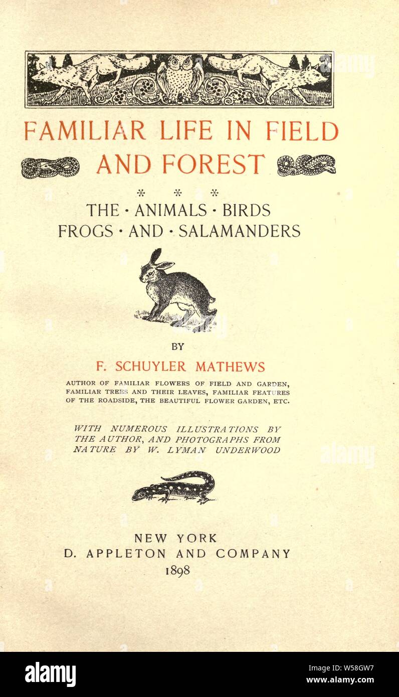 Familiar life in field and forest; the animals, birds, frogs, and salamanders : Mathews, F. Schuyler (Ferdinand Schuyler), 1854-1938 Stock Photo