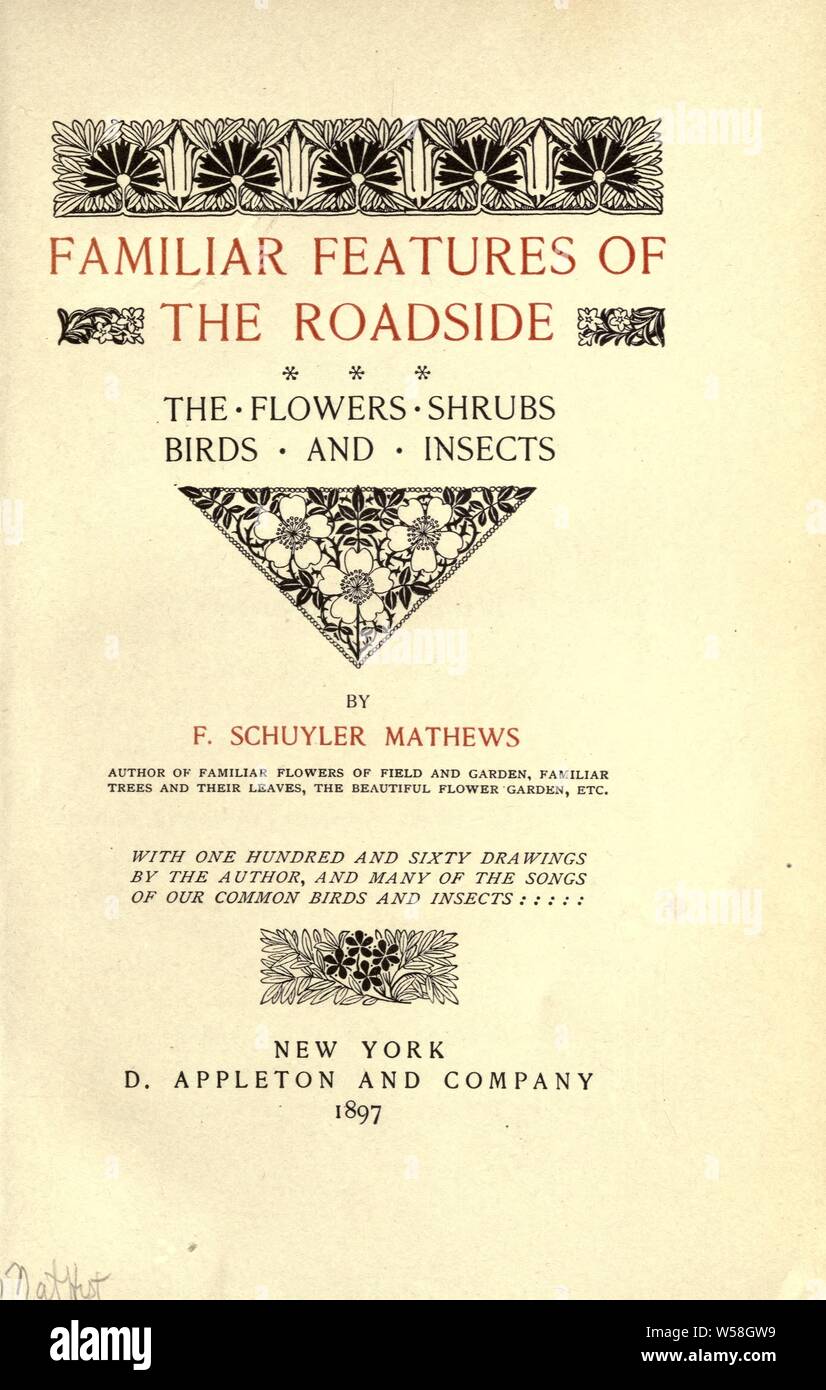 Familiar features of the roadside; the flowers, shrubs, birds, and insects : Mathews, F. Schuyler (Ferdinand Schuyler), 1854-1938 Stock Photo