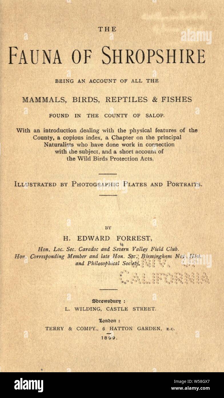 The fauna of Shropshire, being an account of all the mammals, birds, reptiles &amp; fishes found in the county of Salop. With an introduction dealing with the physical features of the county, a copious index, a chapter on the principal naturalists who have done work in connection with the subject, and a short account of the Wild birds protection acts : Forrest, Herbert Edward Stock Photo