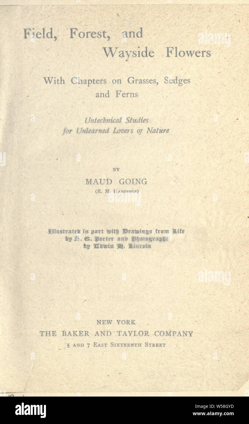 Field, forest, and wayside flowers; with chapters on grasses, sedges, and ferns; untechnical studies for unlearned lovers of nature : Going, Maud, 1859-1925 Stock Photo