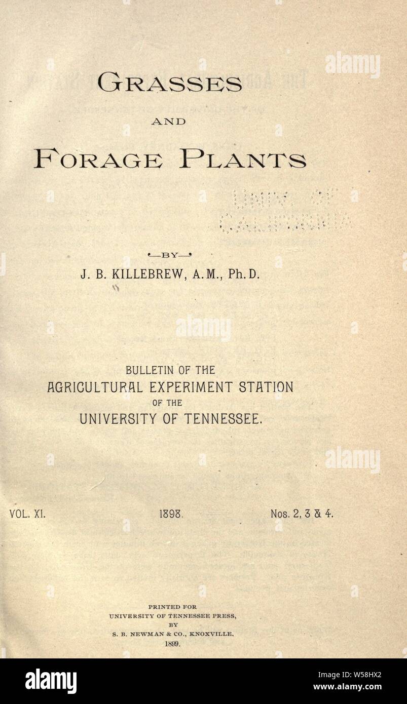 Grasses and forage plants, by J. B. Killebrew .. : Killebrew, J. B. (Joseph Buckner), 1831-1906 Stock Photo