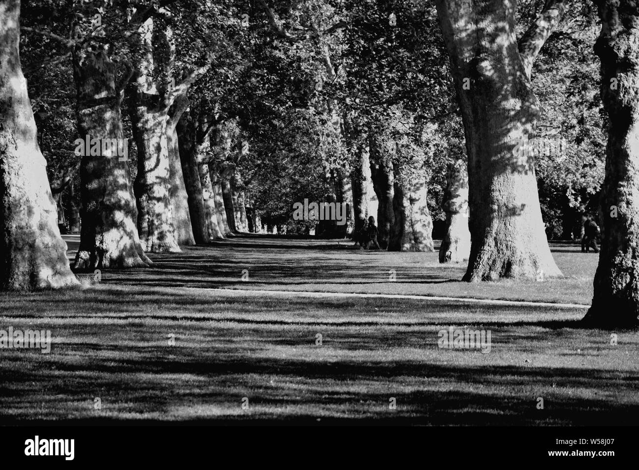 Hyde Park in London, UK Stock Photo Alamy