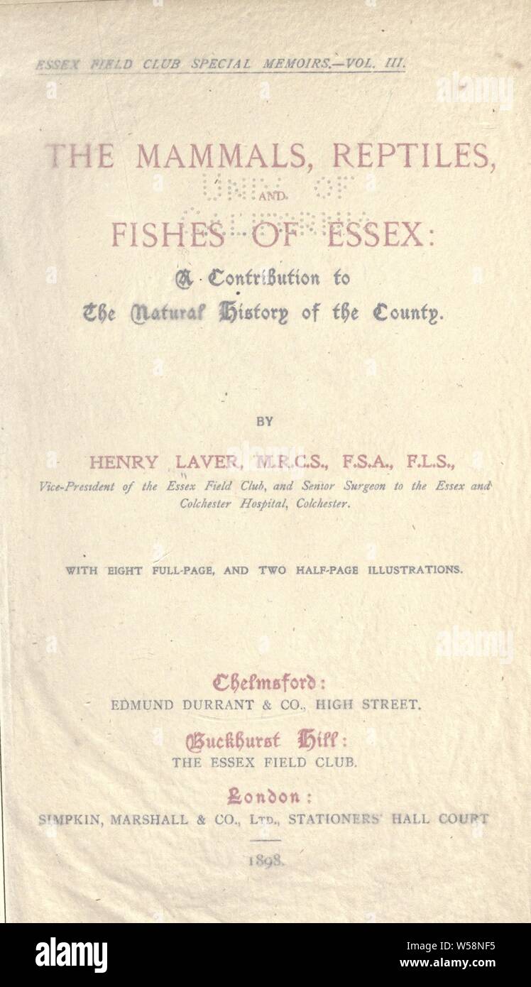 The mammals, reptiles, and fishes of Essex; a contribution to the natural history of the county : Laver, Henry, 1829 Stock Photo