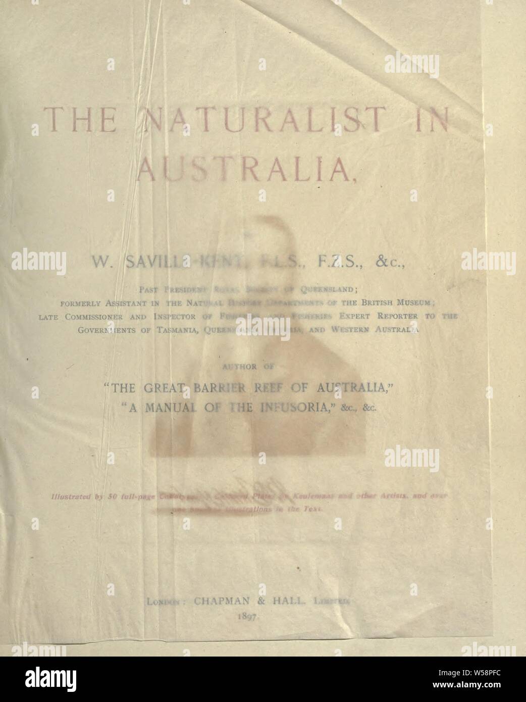 The naturalist in Australia : Kent, William Saville, d. 1908 Stock Photo