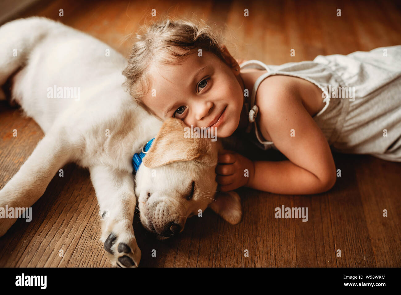 yellow Labrador lab puppy snuggling with little girl Stock Photo