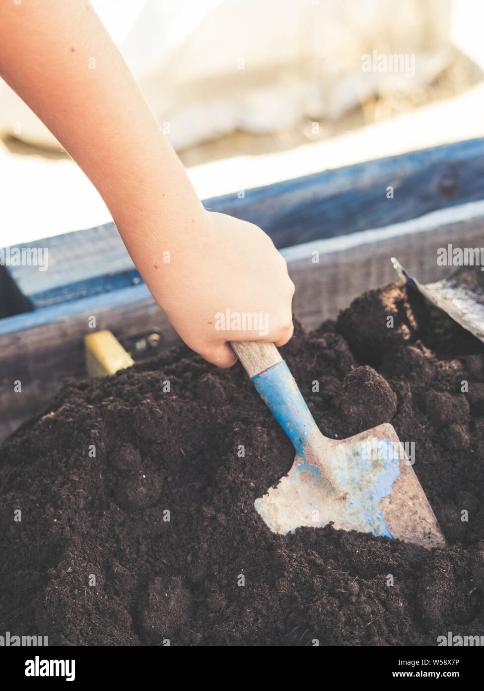 Child's hand holding a small shovel Stock Photo