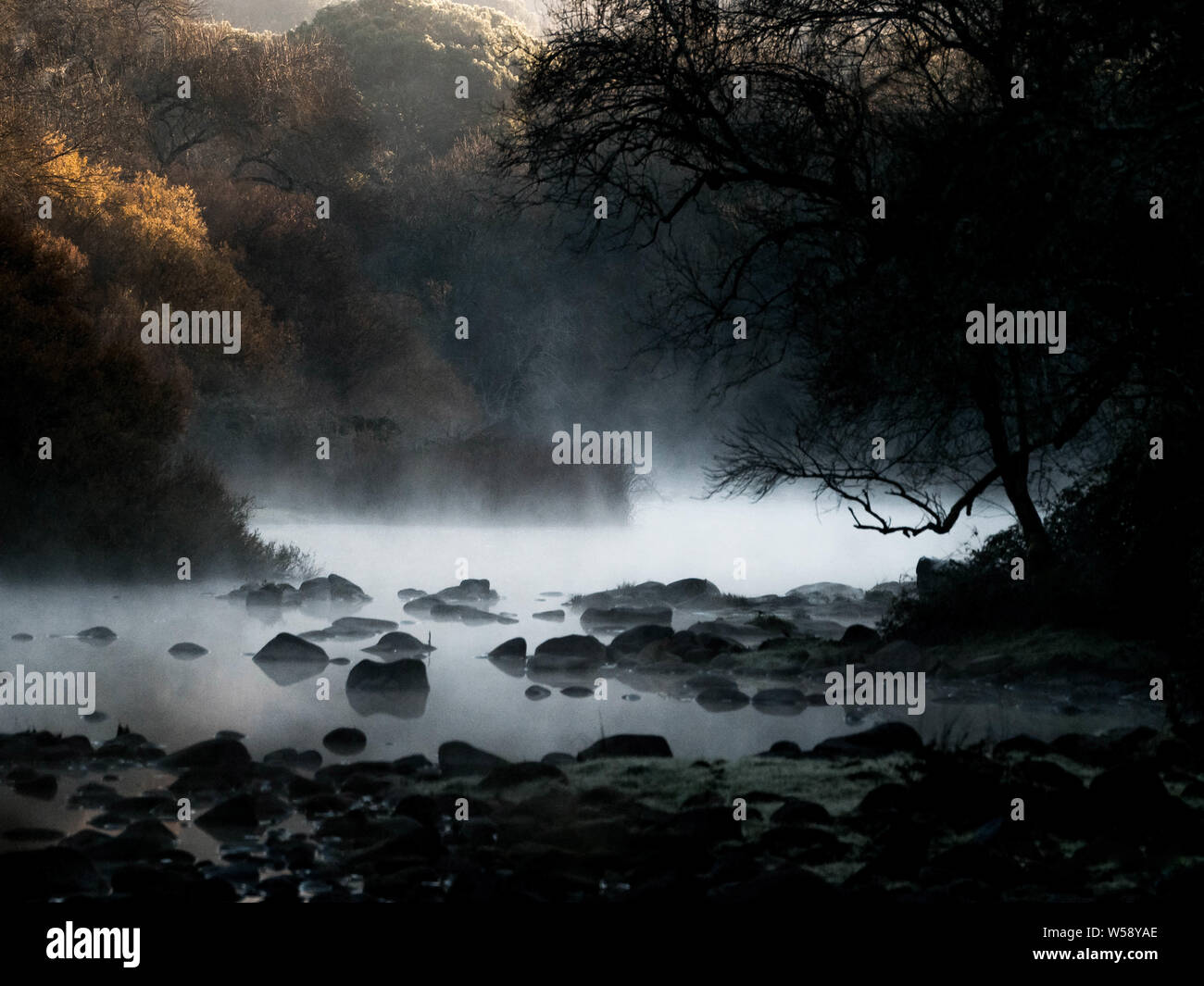River in a forest with mist and rocks. RÃ­o en bosque con bruma y rocas Stock Photo