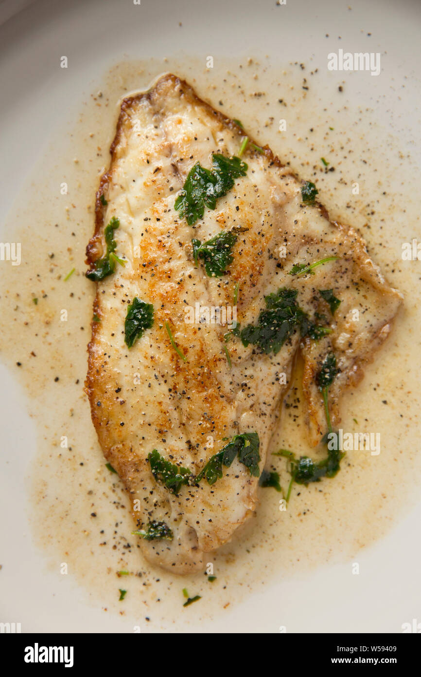 A single fillet from a black bream, Spondyliosoma cantharus, that was ...