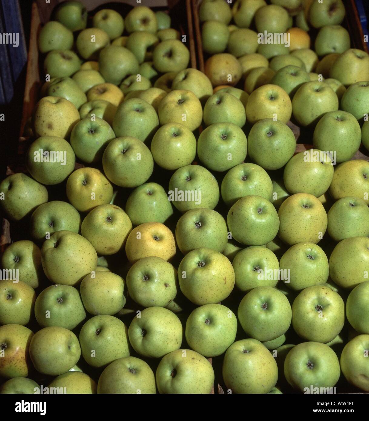 INTERIOR DE MERCADO-PUESTO DE FRUTA-MANZANAS. Location: MERCAMADRID