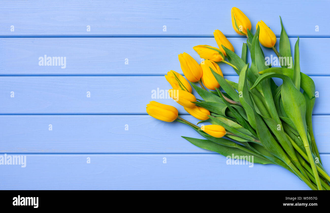 A bouquet of yellow tulips on a table of blue wooden boards Stock Photo ...