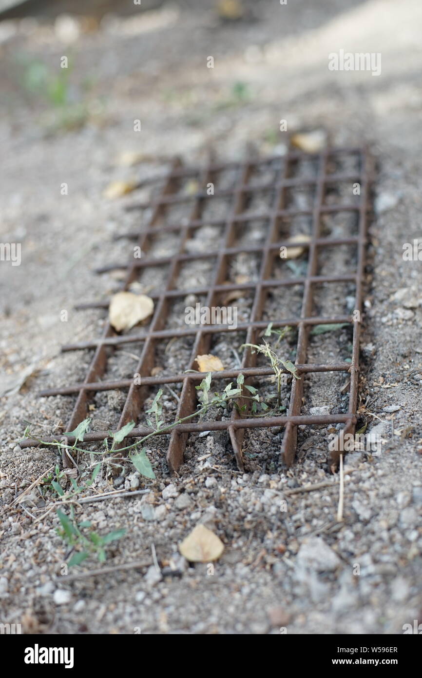 Old metal shoe shine grate lay on the ground in the garden close up Stock Photo