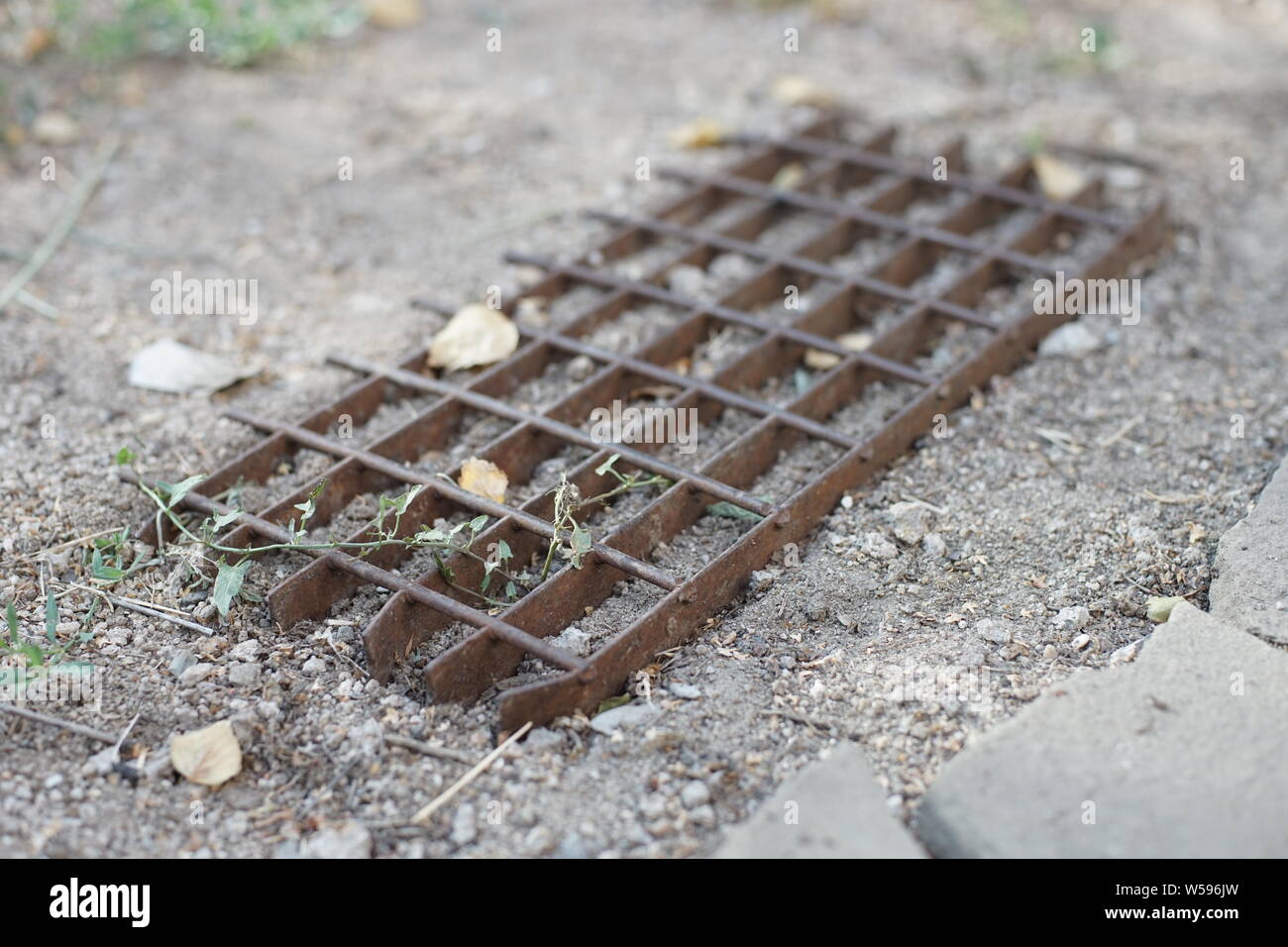 Old metal shoe shine grate lay on the ground in the garden close up Stock Photo