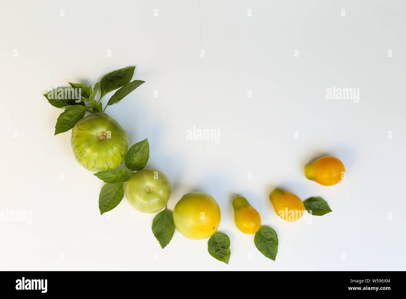 Grüner und gelber Paprika auf Holzbrett Stock Photo