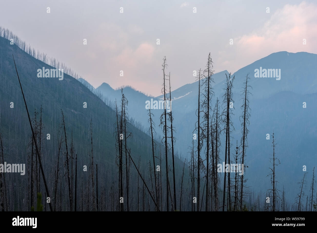 Forest Fire Smoke in the Mountains of Kootenay National Park, British Columbia, Canada Stock Photo