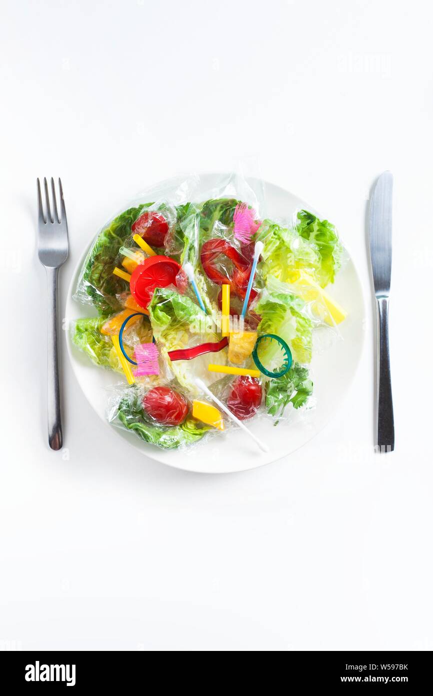 Conceptual image of plastic pollution entering the food chain Stock Biology Diagrams