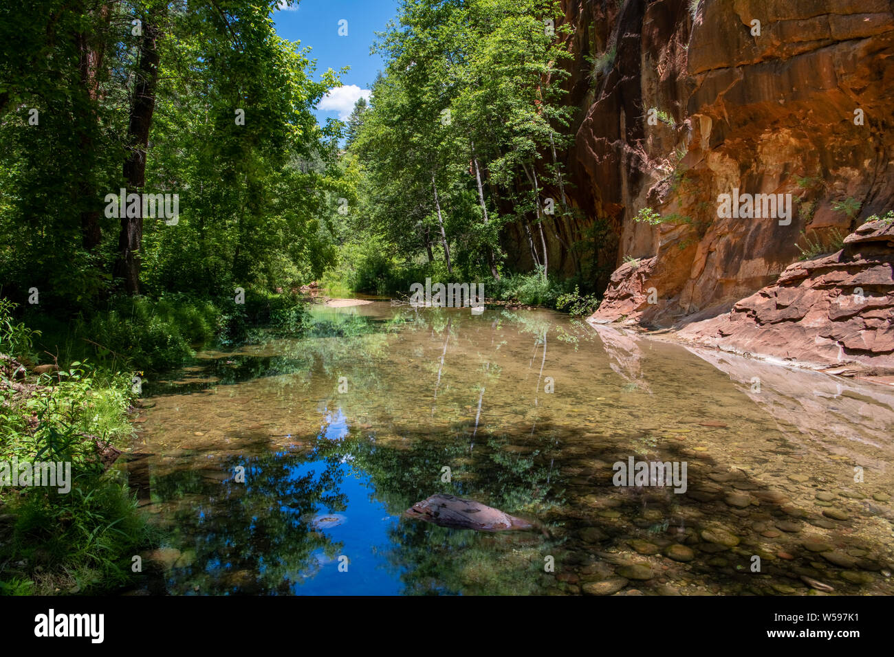Peaceful scene of a clear, still stream reflecting a lush green forest in a red rock canyon - Oak Creek in Sedona, Arizona Stock Photo