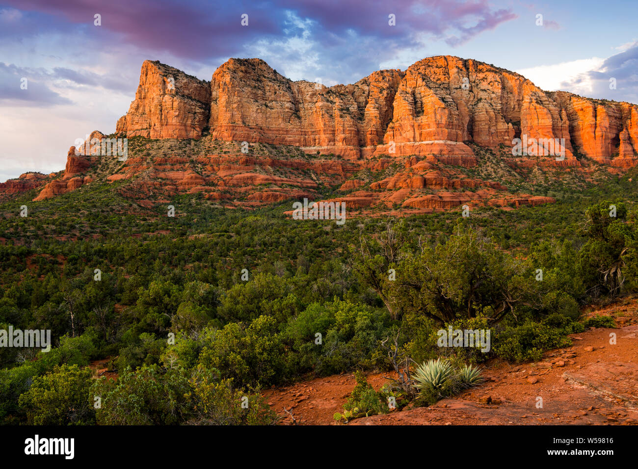 Beautiful red rock formation illuminated by sunset above a contrasting landscape of green juniper and shrubs under a colorful sky - Sedona, Arizona Stock Photo