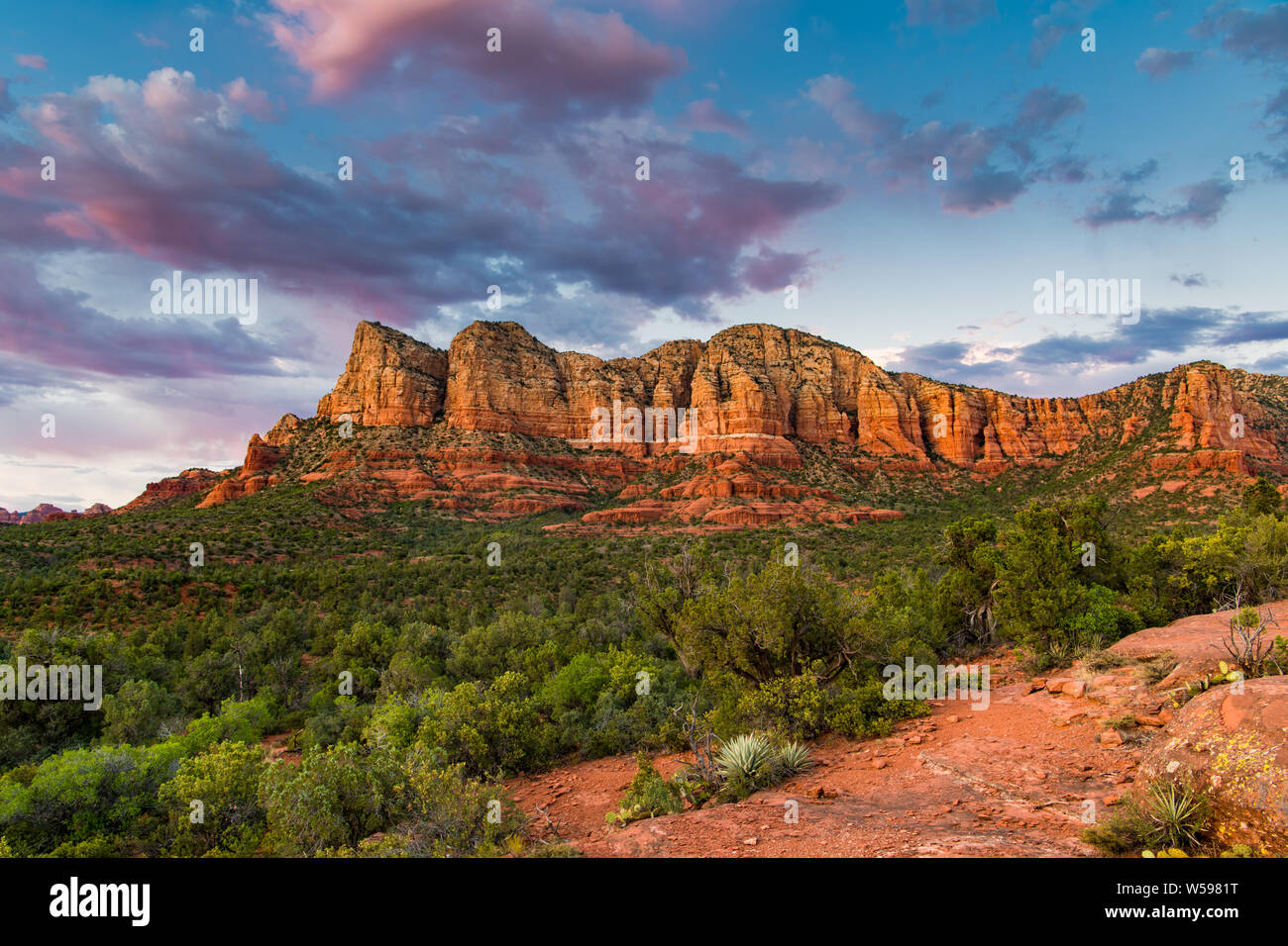 Sunset illuminates a beautiful landscape of red rock formations and green juniper tree forest below a blue sky with colorful pink and purple clouds Stock Photo