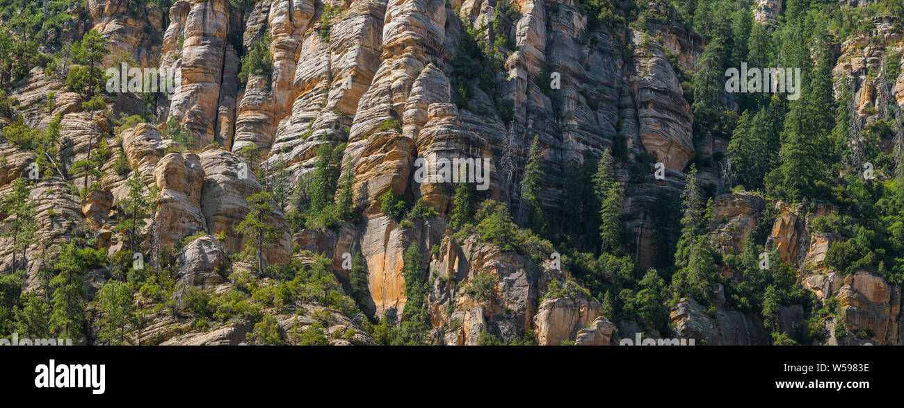Panorama of a steep mountainside of sandstone cliffs with pine trees clinging to them - Sedona, Arizona Stock Photo